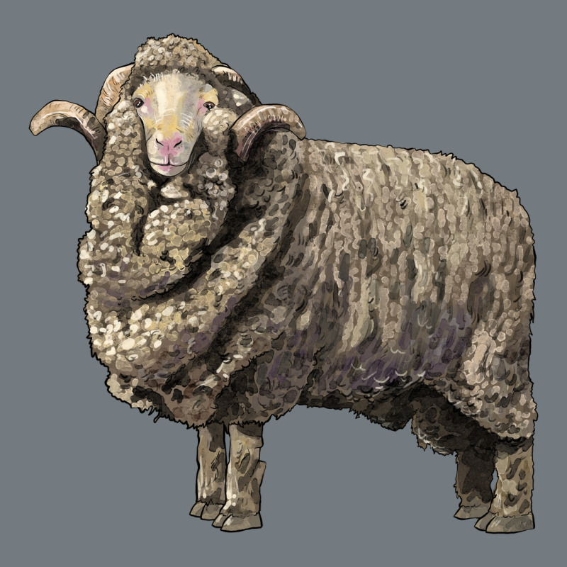 Merino Wool Sheep Heavyweight Sweatshirt by LillyAllenDesigns | Teevron