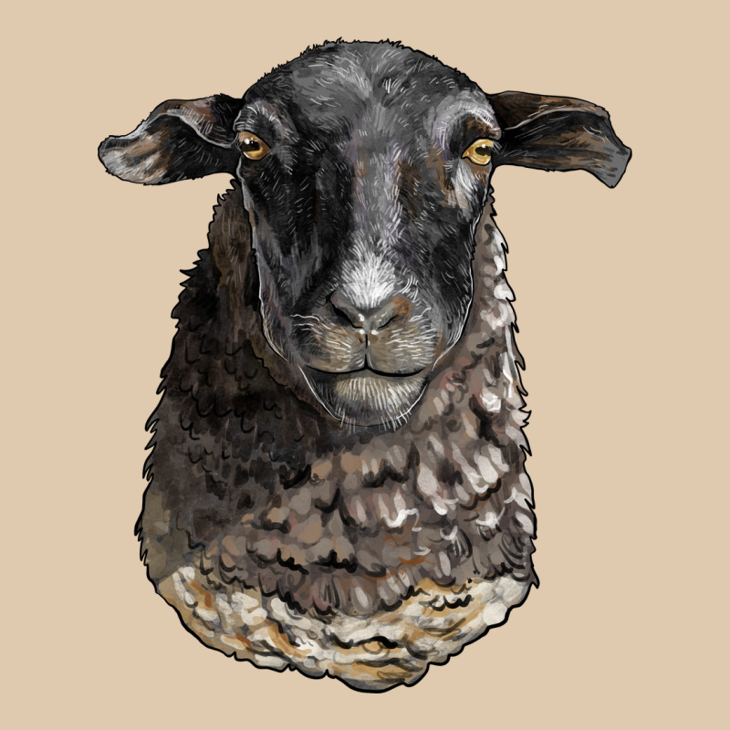 Dorper Sheep Head Heavyweight Sweatshirt by LillyAllenDesigns | Teevron