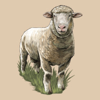 Dorset Sheep Heavyweight Sweatshirt | Teevron