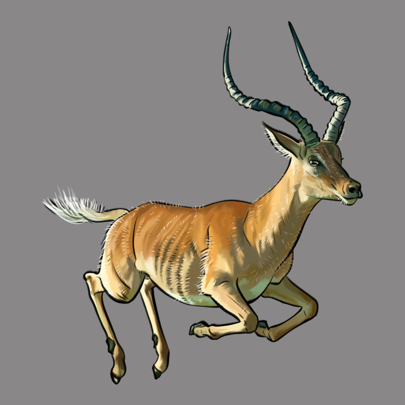 Impala Antelope Illustrations Vintage Tee by LillyAllenDesigns | Teevron
