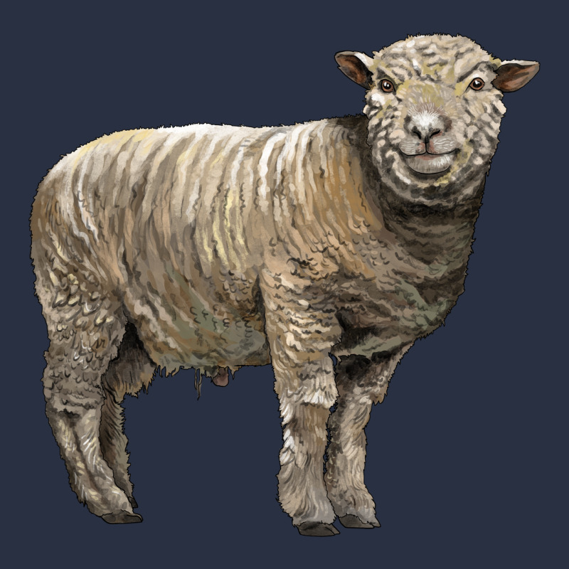 Southdown Sheep Heavyweight Sweatshirt by LillyAllenDesigns | Teevron