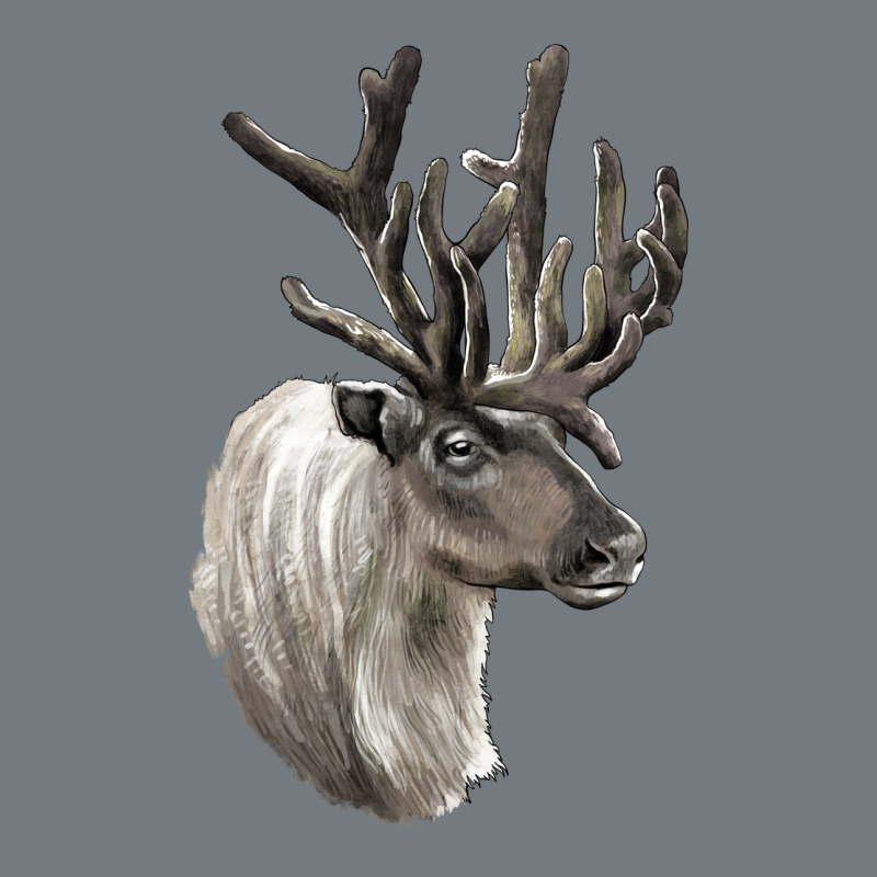Reindeer Buck Deer Head Heavyweight Sweatshirt by LillyAllenDesigns | Teevron