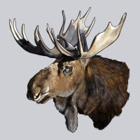 Moose Buck Deer Head Heavyweight Sweatshirt | Teevron