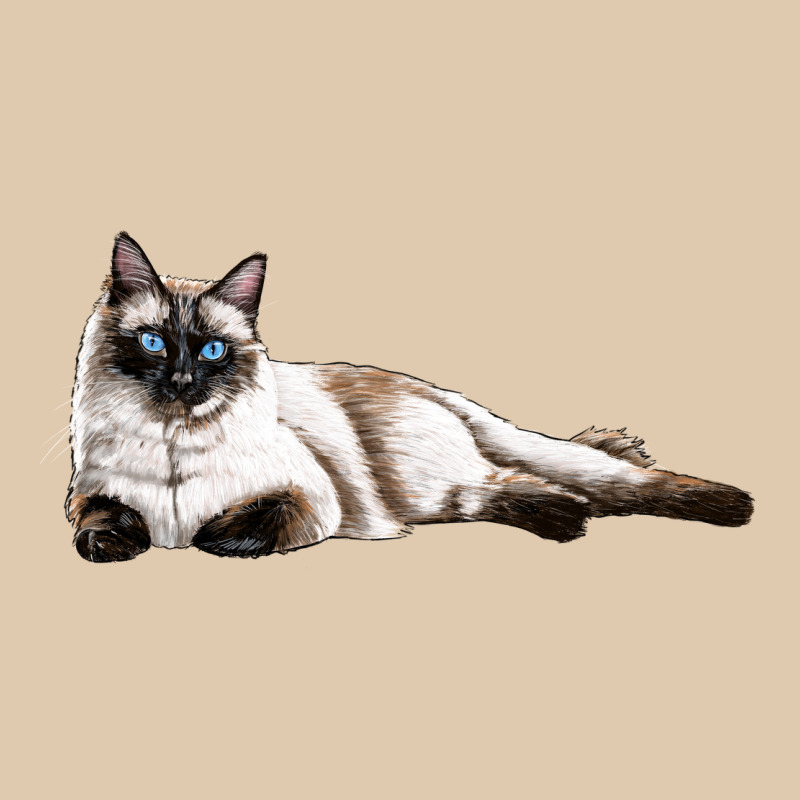 Siamese Heavyweight Sweatshirt by LillyAllenDesigns | Teevron