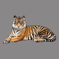 Tiger Vintage Tee | Teevron