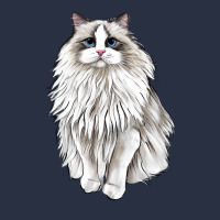 Ragdoll Cat Heavyweight Sweatshirt | Teevron