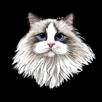 Ragdoll Face Cat Heavyweight Sweatshirt | Teevron