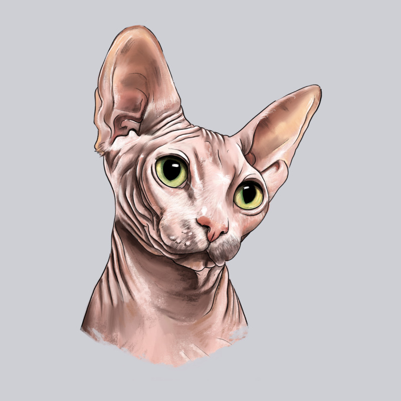 Sphynx Cat Heavyweight Sweatshirt by LillyAllenDesigns | Teevron