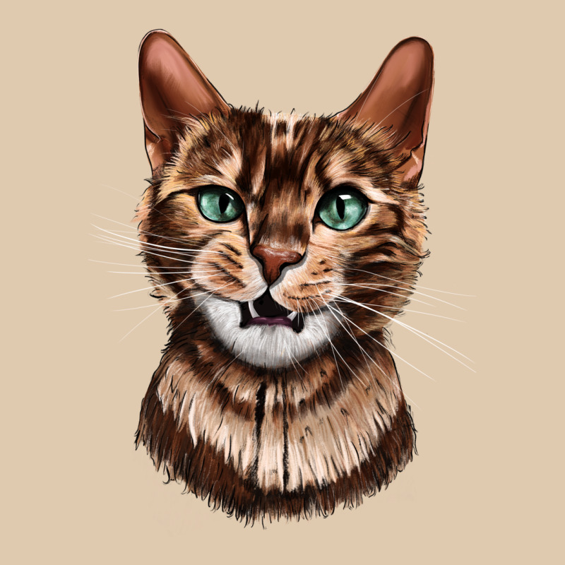 Bengal Cat Face Heavyweight Sweatshirt by LillyAllenDesigns | Teevron