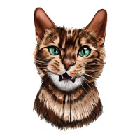 Bengal Cat Face | Teevron