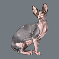 Sphynx Cat Heavyweight Sweatshirt | Teevron