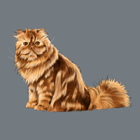 Persian Cat Heavyweight Sweatshirt | Teevron