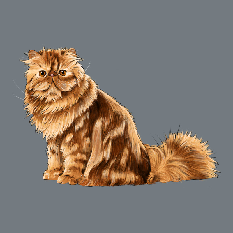 Persian Cat Heavyweight Sweatshirt by LillyAllenDesigns | Teevron