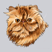 Persian Cat Face Heavyweight Sweatshirt | Teevron