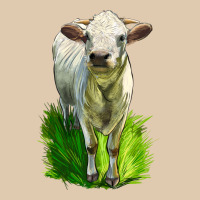 Charolais Heifer Heavyweight Sweatshirt | Teevron