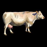 Charolais Cattle Heavyweight Sweatshirt | Teevron