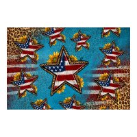 4th of july stars skinny metal can holder | Teevron