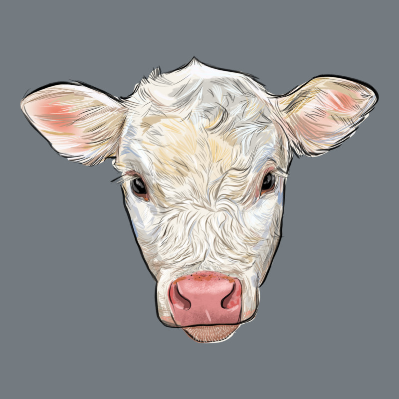 Charolais Calf Face Heavyweight Sweatshirt by LillyAllenDesigns | Teevron