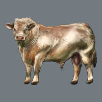 Charolais Bull Heavyweight Sweatshirt | Teevron