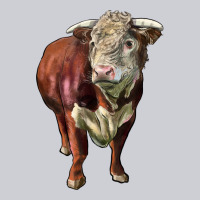 Hereford Bull Face Heavyweight Sweatshirt | Teevron