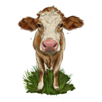 simmental heifer | Teevron