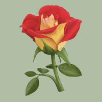 Ketchup And Mustard Rose Urban Heavy Tee | Teevron