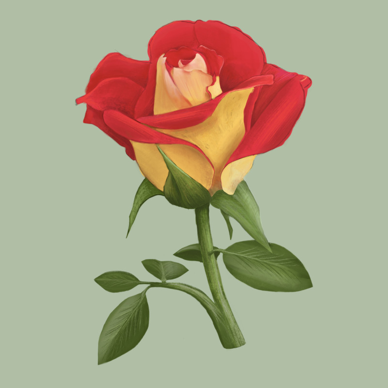 Ketchup And Mustard Rose Urban Heavy Tee by LillyAllenDesigns | Teevron