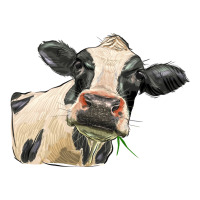 holstein heifer face | Teevron
