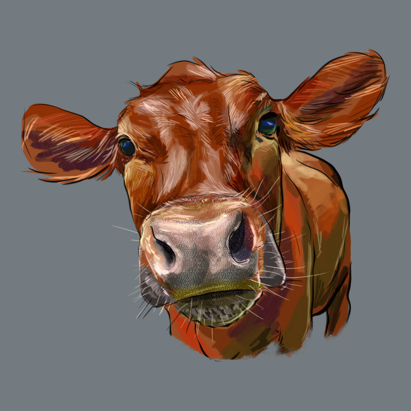 Red Angus Face Heavyweight Sweatshirt by LillyAllenDesigns | Teevron