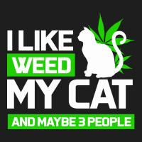 Cat Weed I Like My Cat Gift Heavyweight Hoodie | Teevron