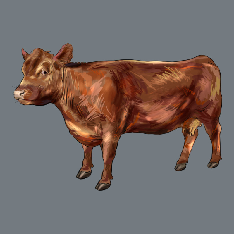 Red Angus Cow Heavyweight Sweatshirt by LillyAllenDesigns | Teevron