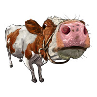 cute simmental cow | Teevron