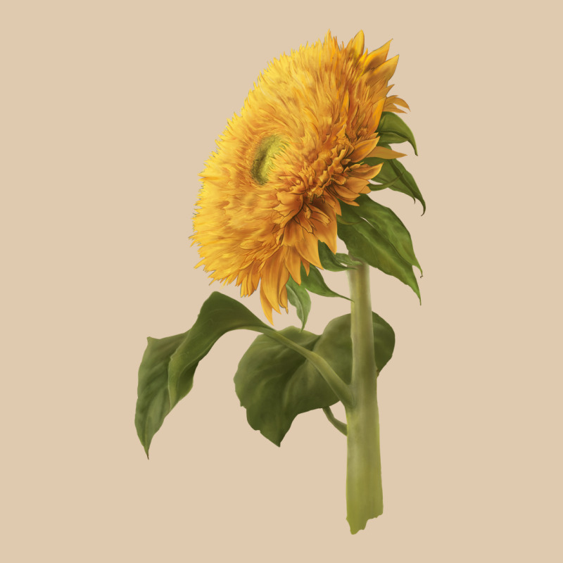 Teddy Bear Sunflower Heavyweight Sweatshirt by LillyAllenDesigns | Teevron