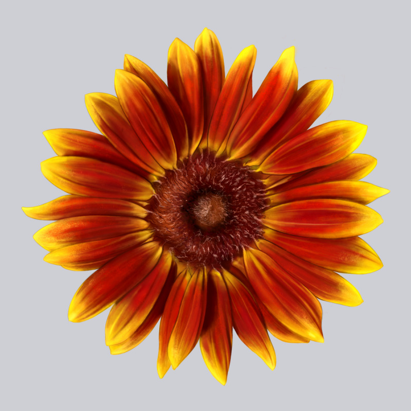 Little Becka Sunflower Heavyweight Sweatshirt by LillyAllenDesigns | Teevron