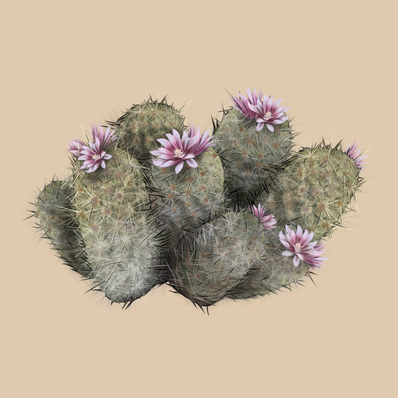 Cob Beehive Cactus Heavyweight Sweatshirt by LillyAllenDesigns | Teevron