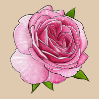 All Dressed Up Rose Heavyweight Sweatshirt | Teevron