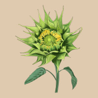 Sun Fill Green Green Sunflower Heavyweight Sweatshirt | Teevron
