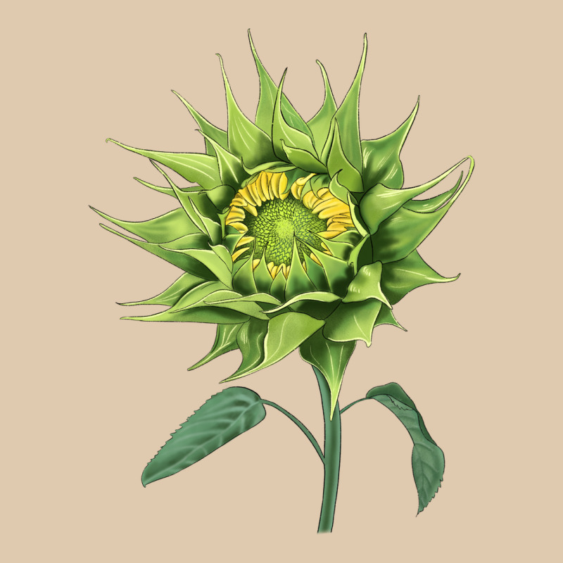 Sun Fill Green Green Sunflower Heavyweight Sweatshirt by LillyAllenDesigns | Teevron