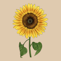 Giganteus Sunflower Heavyweight Sweatshirt | Teevron