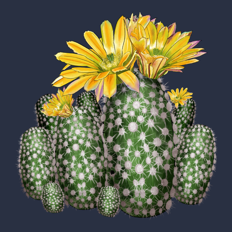 Texas Rainbow Cactus Heavyweight Sweatshirt by LillyAllenDesigns | Teevron