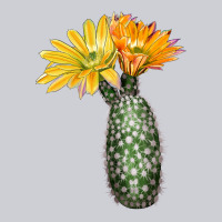 Texas Rainbow Cactus Heavyweight Sweatshirt | Teevron