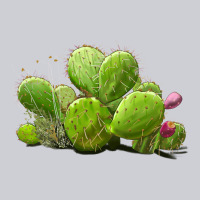 Desert Prickly Pear Cactus Heavyweight Sweatshirt | Teevron