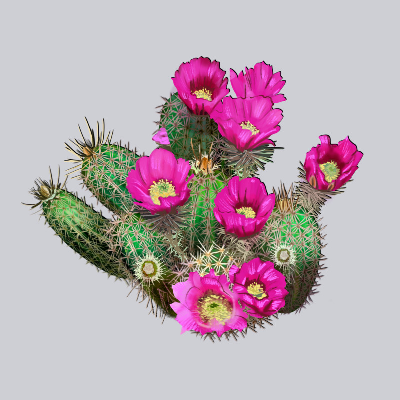 Strawberry Hedgehog Cactus Heavyweight Sweatshirt by LillyAllenDesigns | Teevron