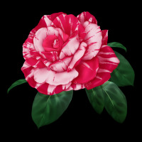 Neil Diamond Rose Heavyweight Sweatshirt | Teevron