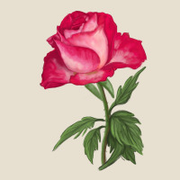 Love At First Sight Rose Urban Heavy Tee | Teevron
