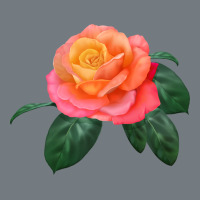 Chicago Peace Rose Heavyweight Sweatshirt | Teevron