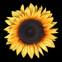 Treetops Sunflower Heavyweight Sweatshirt | Teevron