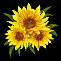 Maximillian Perennial Sunflower Heavyweight Sweatshirt | Teevron