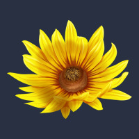 Maximillian Perennial Sunflower Heavyweight Sweatshirt | Teevron