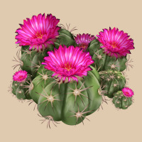Eagle Claws Cacti Heavyweight Sweatshirt | Teevron